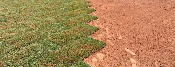 Red Desert Sod farm crew working the fields in St. George, Utah
