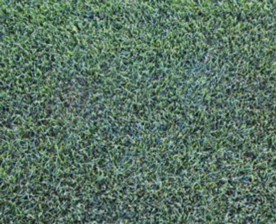 Red Desert Sod fertilizer bags formulated for Southern Utah desert soils