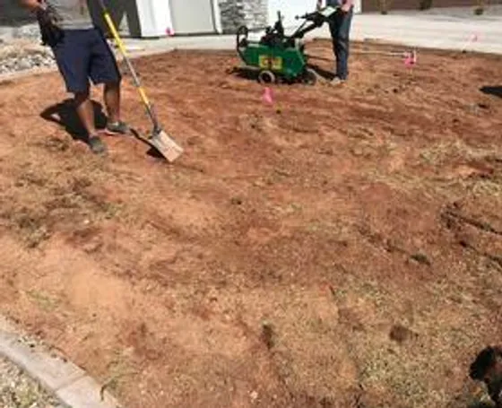 Red Desert Sod premium grass seed bags for overseeding and patch repairs