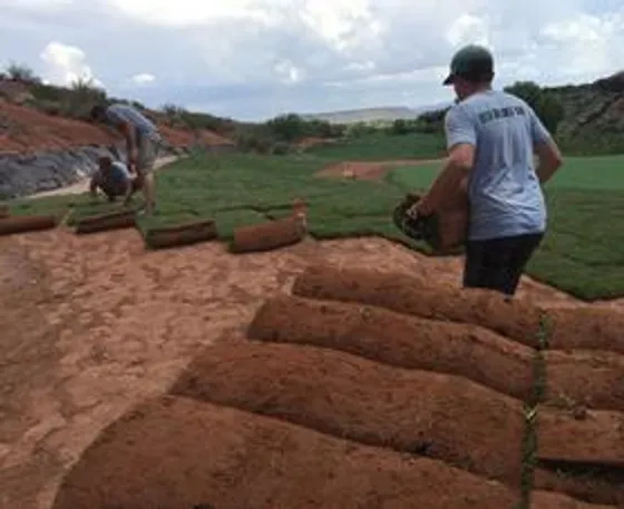 Red Desert Sod crew professionally installing sod at a home in St. George